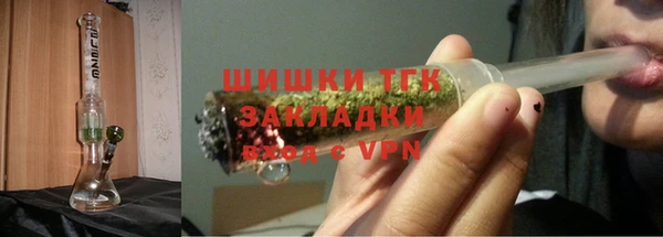 прущие грибы Верхний Тагил