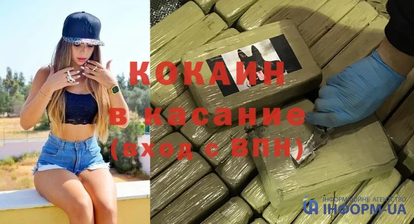 прущие грибы Верхний Тагил