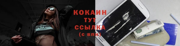 прущие грибы Верхний Тагил