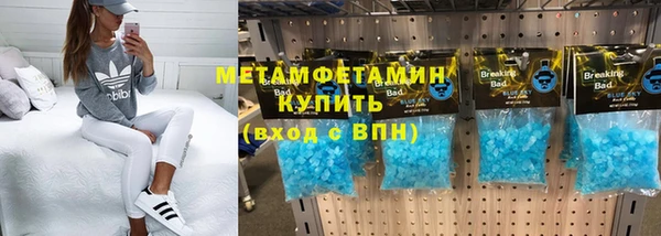 прущие грибы Верхний Тагил