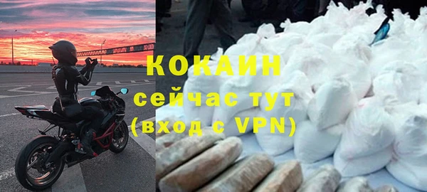 прущие грибы Верхний Тагил