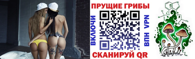 Псилоцибиновые грибы прущие грибы  Купить  Кстово 